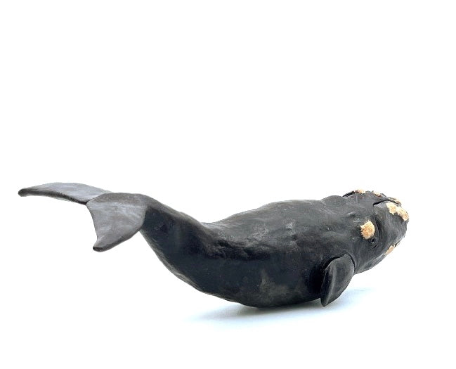 Right Whale Sculpture